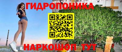 хмурый Кинель